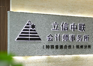 会计师团队工作场景